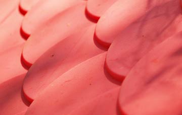 Burgate plastic roof costs