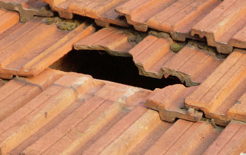 roof repair Burgate, Suffolk