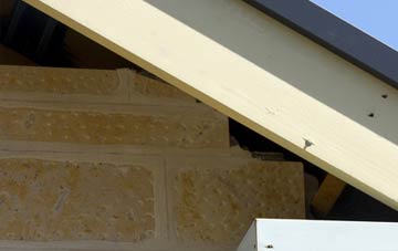 soffit repair Burgate
