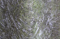 Burgate fibreglass roof work