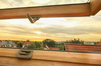 rated Burgate roof window companies